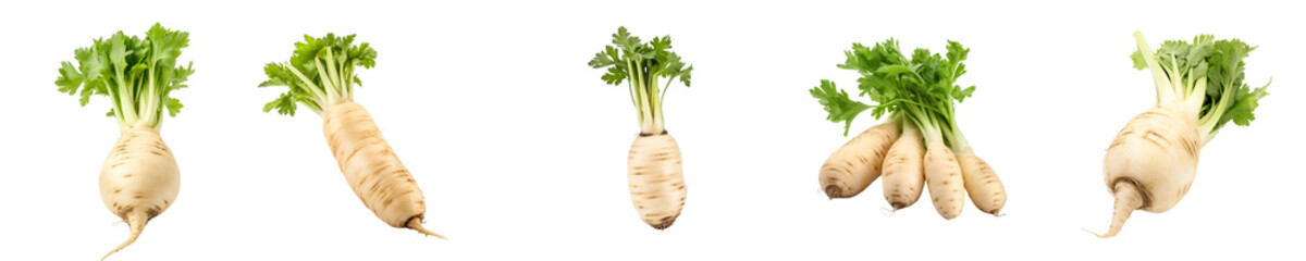 Set of parsnip isolated on transparent background	