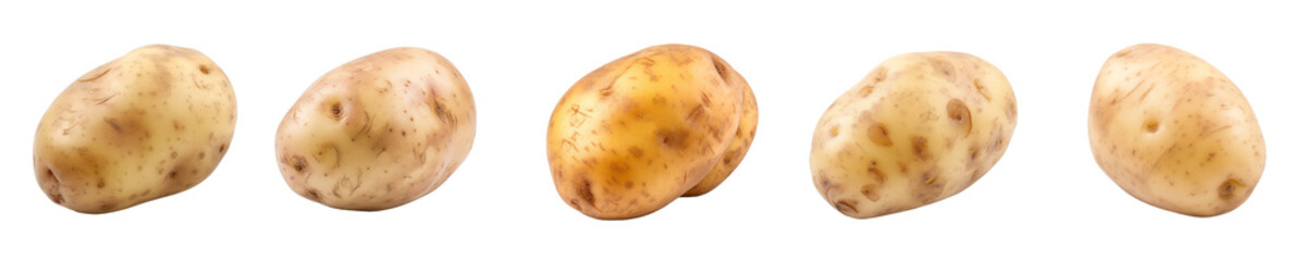 Set of potato isolated on transparent background	