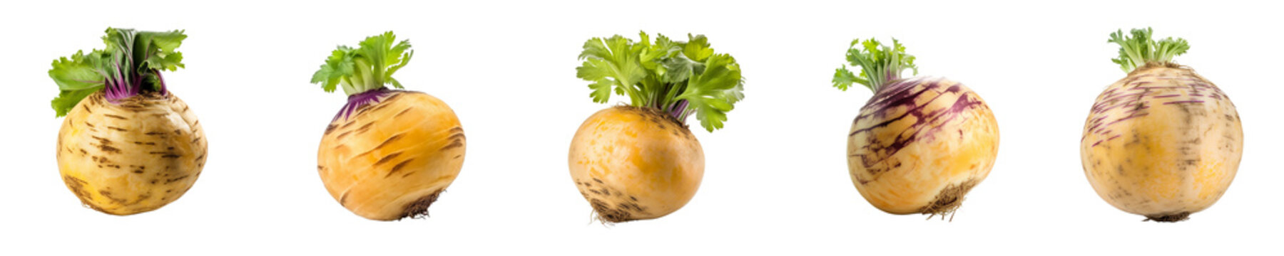 Set of rutabaga isolated on transparent background	