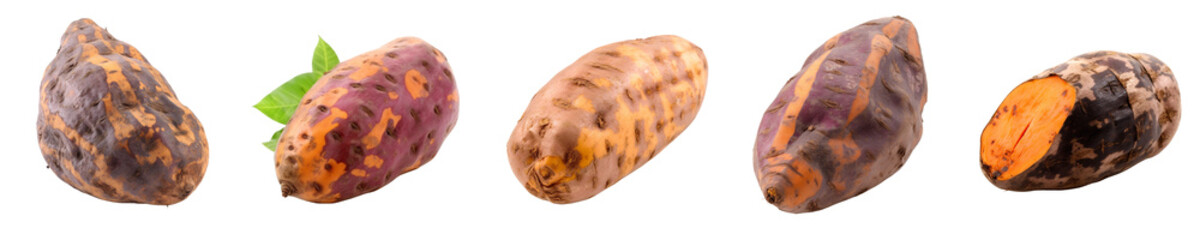 Set of yam isolated on transparent background	