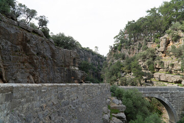 Koprulu canyon (kanyon), stone bridge. Natural landscape in Antalya, Manavgat . Green trees in stone