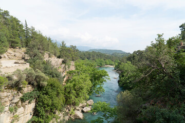 mountain river in the canyon