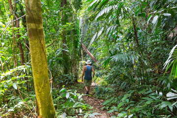 Obraz premium Hike in jungle