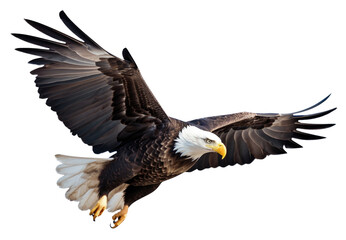 Fototapeta premium Bald Eagle Flying Isolated on Transparent Background - Generative AI 