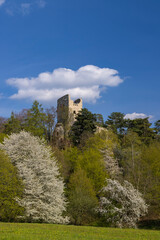 Valecov castle ruins, Middle Bohemia, Czech Republic