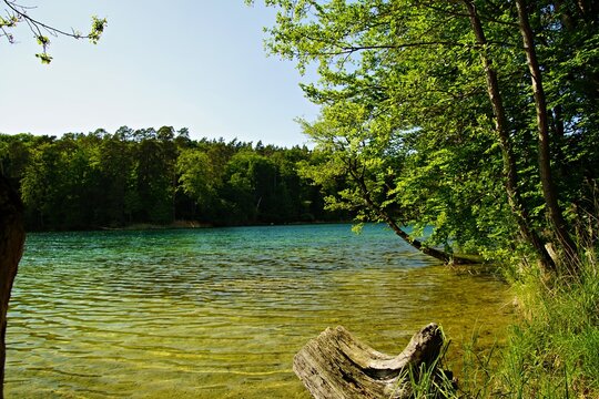Wanderung am Stechlinsee