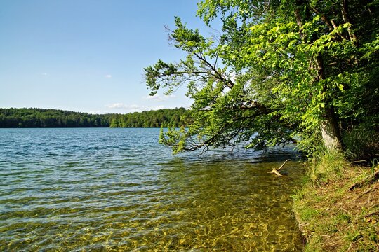 Wanderung am Stechlinsee