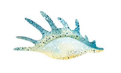 Naklejka premium Set of Seashells on isolated white background, watercolor illustration, sea clipart