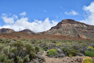 PAISAJE EN EL PARQUE NACIONAL DE LAS CAÑADAS DEL TEIDE