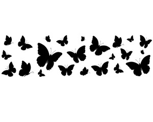 drawing butterfly handdrawn