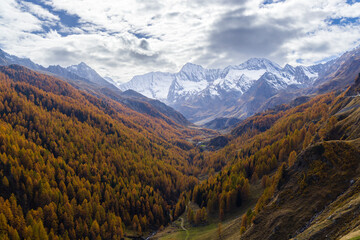 Texelgruppe nature park (Parco Naturale Gruppo di Tessa) near Timmelsjoch - high Alpine road, South Tyrol, Italy
