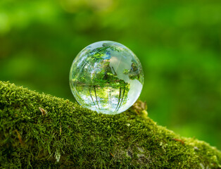 glass earth globe in the forest