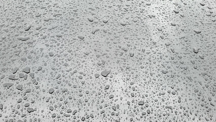 A drop of water on the hood of the car. Water drops after rain or car wash