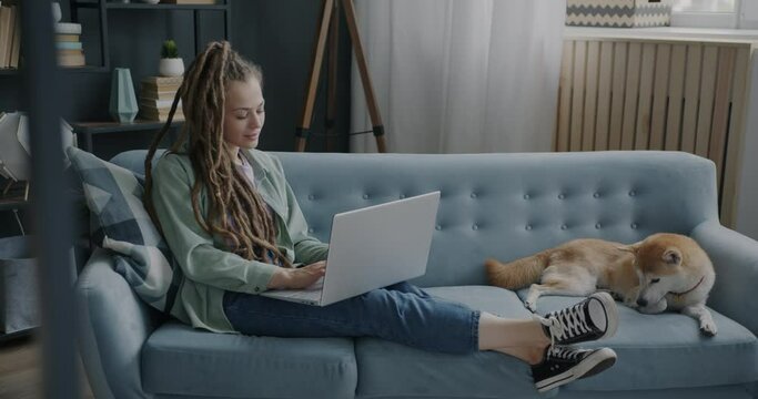 Girl student studying at home using laptop while shiba inu dog lying on sofa in living room. Modern lifestyle and companion animal concept.