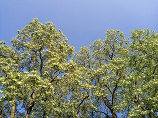 Ingolstadt, Deutschland, Bayern, Ende Mai, 2023