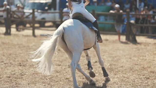 Equestrian sport - a girl riding a white horse at the arena