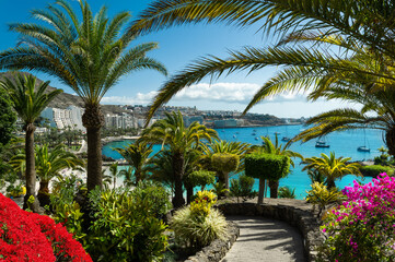 Fototapeta na wymiar View of a beautiful public garden with tropical palm trees and red flowers above the blue Atlantic Ocean coast in Las Palmas, Spain