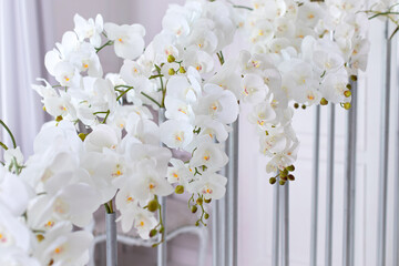 Branch of beautiful white orchid on white background. Banner design. White petals of phalaenopsis...
