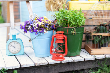 Showcase with flowers, vintage scales and plants in bucket in a flower shop on the street. Green plants and flowers in backyard in summer. Spicy herbs in pots on porch. Cozy decor outdoor terrace