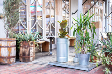 Fototapeta na wymiar Green plants and flowers in wood barrels and pots. Outdoor terrace or street cafe, bar or restaurant decorated with green plant pots with plants. Cozy outdoor terrace with green plants and flowers 