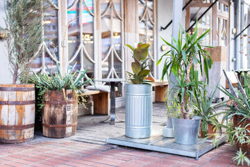 Green plants and flowers in wood barrels and pots. Outdoor terrace or street cafe, bar or restaurant decorated with green plant pots with plants. Cozy outdoor terrace with green plants and flowers	