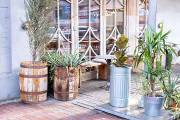 Green plants and flowers in wood barrels and pots. Outdoor terrace or street cafe, bar or restaurant decorated with green plant pots with plants. Cozy outdoor terrace with green plants and flowers