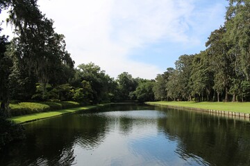 Peaceful waterway pond surrounded by pastoral landscape of green grass and trees in summer.