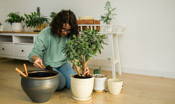 Woman Grows Potted Plants At Home Watering And Take Care Flowers Copy Space - Gardening And Houseplant Care Concept