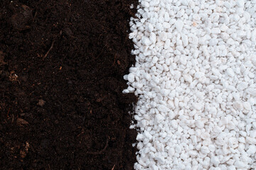 soil and Perlite for plants. neutral material of volcanic origin
