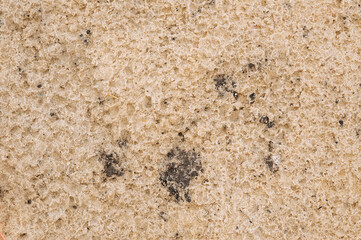Background, texture of wet dirty sand. Photo, top view, close-up.