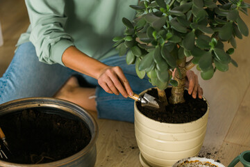Woman grows potted plants at home watering and take care flowers - gardening and houseplant care concept