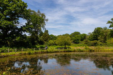 Fototapeta na wymiar Pond in the Park Landscape