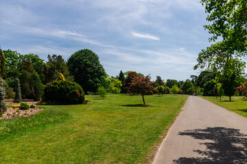 Park Landscape