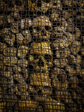 San Bernardino alle Ossa is a church in Milan, northern Italy, best known for its ossuary, a small side chapel decorated with numerous human skulls and bones.