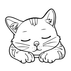 Hand drawn black vector illustration a portrait of a beautiful fun adult young cat is sleeping on a white background