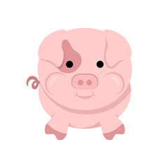 pig cartoon