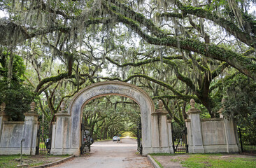 Entering Wormsloe Plantation, Savannah, Georgia