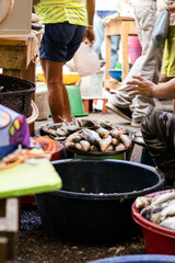 Venta de pescado fresco en el mercado de la ciudad de Yurimaguas, provincia de Alto Amazonas, Loreto - Perú