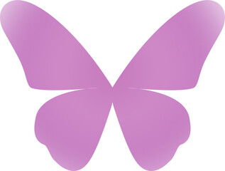 butterfly y2k