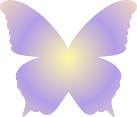y2k gradient butterfly 