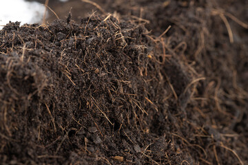 Black Fertilize Soil ready to planting, good organic soils with root for garden farming, pile set texture detail of soil with roots dust dirty.  close up selective focus over White background Isolated