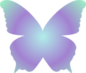 y2k gradient butterfly 