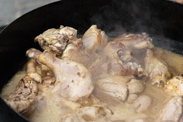 Sizzling Creations: Capturing the Culinary Magic as a Woman Cooks Chicken al Disco with Vegetables and Beer in a Mouthwatering Photograph