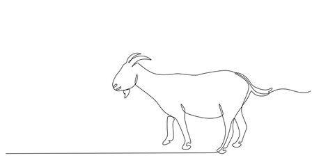 Continuous line of Eid Al Adha banner design. goats background for Muslim Community Festival. Single line Muslim Hari Raya fit for qurbani day, Eid Al Adha in doodle one line style