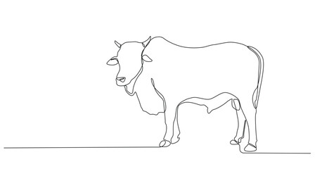 Continuous line of Eid Al Adha banner design. cow background for Muslim Community Festival. Single line Muslim Hari Raya fit for qurbani day, Eid Al Adha in doodle one line style