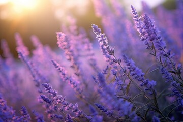 portrait lavender in field with light exposure AI Generative