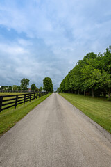 Fototapeta na wymiar Path in rural Kentucky dividing line of trees from a fence of a horse farm
