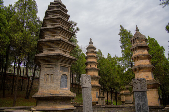 Three yellow pagodas, China, the Shaolin Monastery. Forest pagodas Talin is three hundred meters to the west of the monastery and has about 300 buildings.