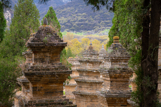 Close up on The ancient talin buddhist pagoda forest near the Shaolin Temple in Dengfeng city in Henan Province China. Background