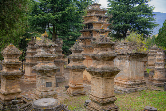 Yellow pagodas, China, the Shaolin Monastery. Forest pagodas Talin is three hundred meters to the west of the monastery and has about 300 buildings.